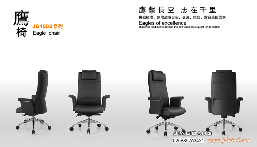 JiaGoang南京鹰椅大班椅JG15031TGA展示图