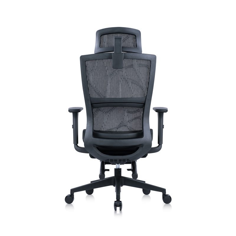 Sitzone南京办公椅图3，多波尔Double工学办公椅 全网 带脚托