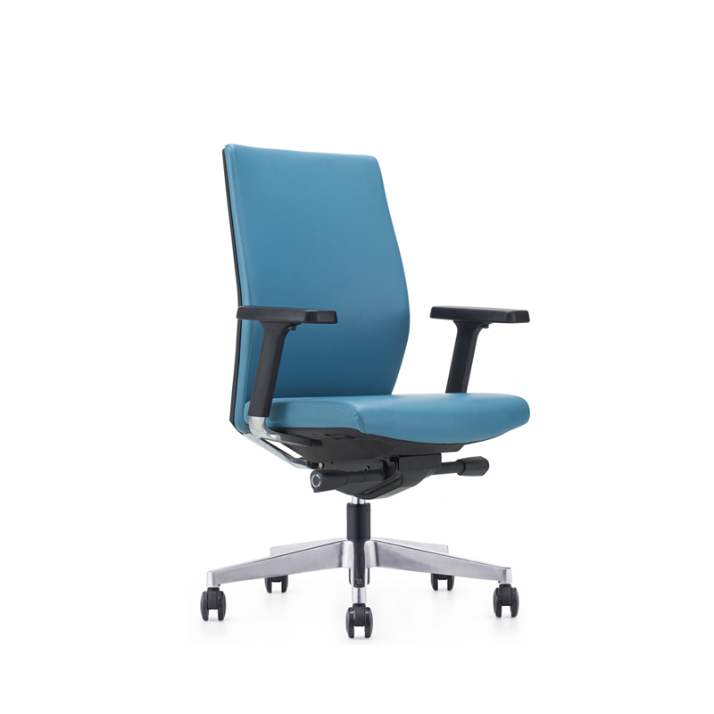 Sitzone南京办公椅，Jay南京中班椅JCH-240B，真皮中班椅