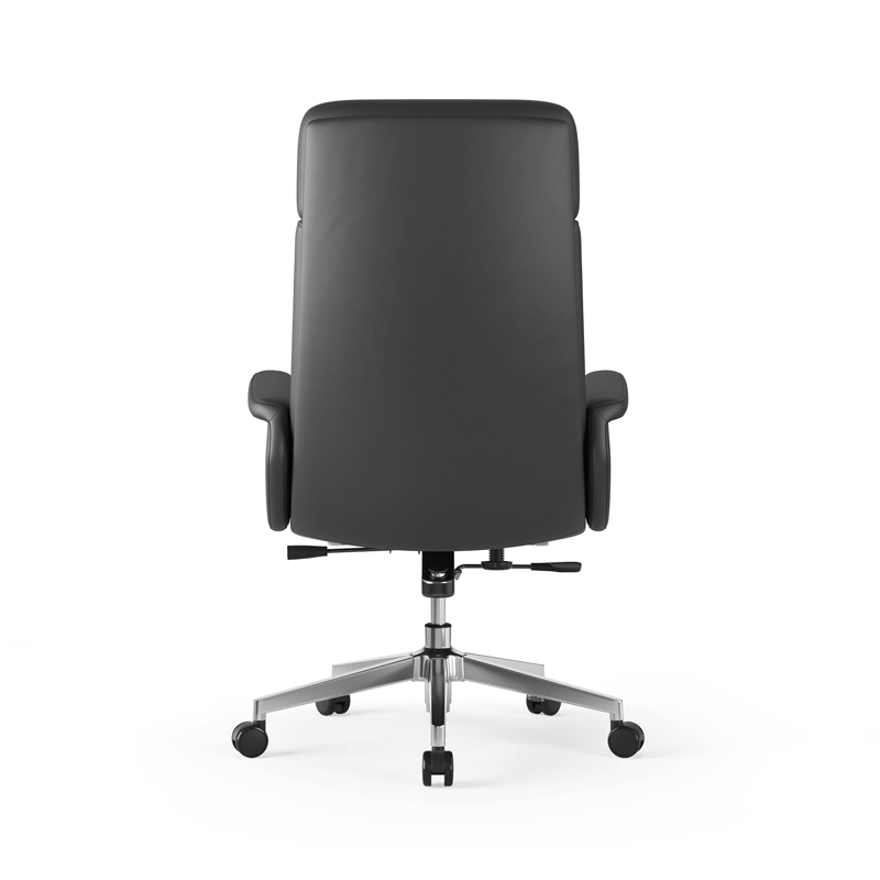 Sitzone南京办公椅图3，艾丽卡Erica高背办公椅 简配