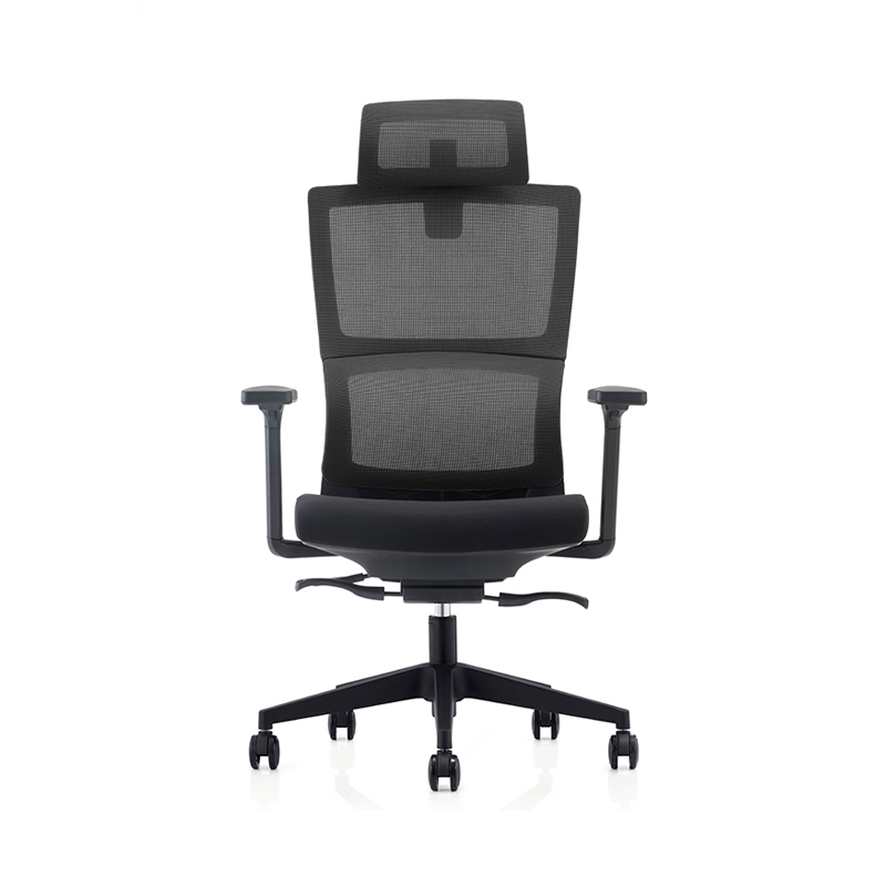 Sitzone南京办公椅图2，多波尔Double工学办公椅 高背