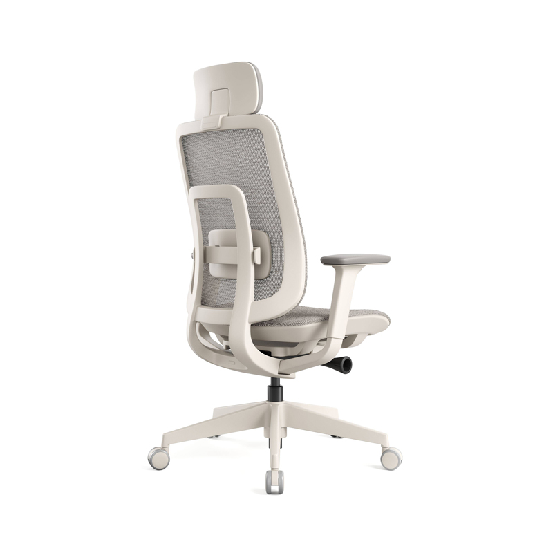 Sitzone南京办公椅图5，如奕Renata人体工学椅 全网 白框