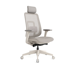 Sitzone南京办公椅，Renata南京主管椅，南京网布办公椅